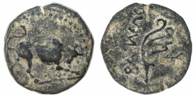 CILICIA: Philopator, circa 20 BC-17 AD., AE chalkous (1.82g), RPC I Suppl. 3, 3872B. Ziegler-, 15mm, likely struck in Hierapolis: bull butting right /...