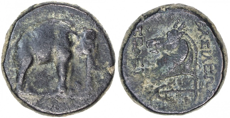 SELEUKID KINGDOM: Seleukos I Nikator, 312-280 BC, AE 19mm (8.57g), Apamea, Spaer...