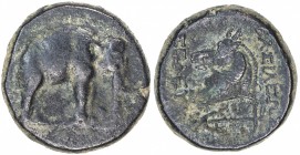 SELEUKID KINGDOM: Seleukos I Nikator, 312-280 BC, AE 19mm (8.57g), Apamea, Spaer-50/52, elephant walking right // horse’s head left, anchor below, som...