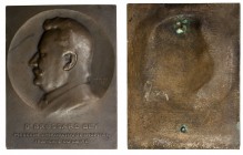 EGYPT: AE plaque (101.31g), 1909, 89 x 49mm, uniface: Dr. BROSSARD BEY / MEDECIN CHIRURGIEN DE L'HOPITAL / FRANCAIS DU CAIRE, bust of Brossard left, s...