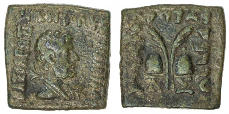 INDO-GREEK: Antialkides, ca. 130-120 BC, AE obol (8.73g), Bop-17A, diademed bust...