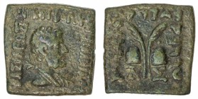 INDO-GREEK: Antialkides, ca. 130-120 BC, AE obol (8.73g), Bop-17A, diademed bust, thunderbolt behind // 2 palm fronds above the caps of the Dioscuri, ...