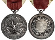 FRANCE: Third Republic, AR medal, 42mm, silver medal by Henri Dubois, COMPAGNIE FRANÇAISE DU PHÉNIX around phoenix rising from flames beneath blazing ...