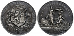 SWITZERLAND: AR medal, 1890, Richter-1250b; Martin-666, 45mm, Kanton Thurgau, Frauenfeld. Schützenmedaille (Shooting Medal), For the Federal Swiss Sho...