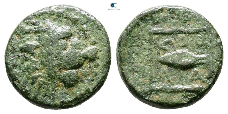 The Thracian Chersonese. Cardia circa 357-309 BC. 
Bronze Æ

14 mm, 2,61 g
...