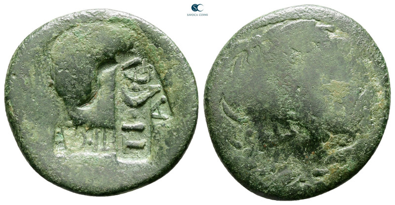 AD 1-50. Rome
As Æ

26 mm, 6,07 g



Fine