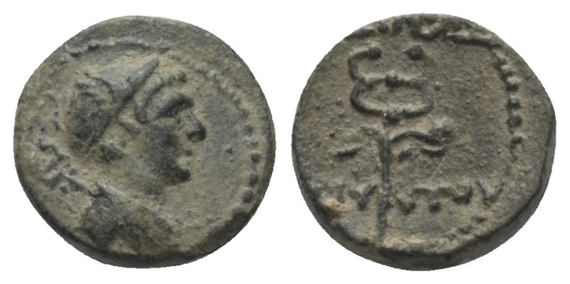 Königreich Galatien. Amyntas (36 - 25 v. Chr.).

 Bronze.
Vs: Büste des Herme...