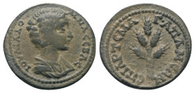 Phrygien. Apameia. Iulia Domna (gest. 217 n. Chr.).

 Bronze.
Vs: Drapierte Büste der Julia Domna rechts.
Rs: Bündel aus fünf Kornähren; Magistrat...