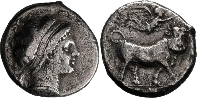 Campanien: Campanien, Neapolis: AR-Didrachme, 6,91 g, sehr schön.
 [differenzbe...