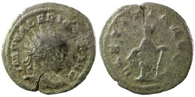 Valerian I. (253-255 AD). BI Antoninian. (25mm, 3,05g) Viminacium. Obv: IMP C P LIC VALERIANVS AVG. radiate cuirassed bust of Valerian right. Rev: LAE...