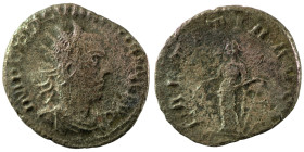 Valerian I. (253-255 AD). BI Antoninian. (22mm, 2,86g) Viminacium. Obv: IMP C P LIC VALERIANVS AVG. radiate cuirassed bust of Valerian right. Rev: LAE...
