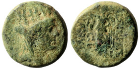 Syria. Apameia. (39-38 BC). autonomous Æ Tetrachalkon. (19mm, 6,65g). Antioch.