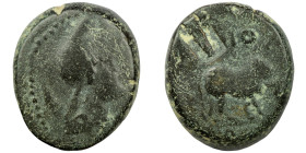 Pontos. Amisos. Mithridates VI. (85-65 BC). Bronze Æ. (21mm, 9,98g) Obv: head of Mithridates VI. as Perseus right. Rev: Pegasos left.