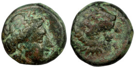 Troas. Antandros. (400-284 BC) Bronze Æ. (12mm, 1,76g) Obv: head of Apollo right. Rev: head of lion right.