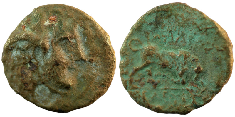 Seleukos I. Nikator. (300-286 BC). Bronze Æ. (17mm 2,08g) Antioch.