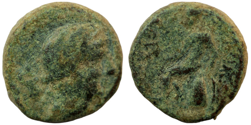 Seleukos III. Keraunos. (226-223 BC). Bronze Æ. (15mm 3,18g) Antioch.