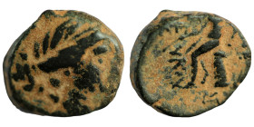 Seleukos III. Keraunos. (226-223 BC). Bronze Æ. (16mm 3,45g) Antioch.