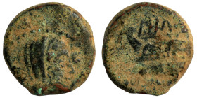 Seleucid Kingdom. undefined. Bronze Æ. (15mm, 2,94g)