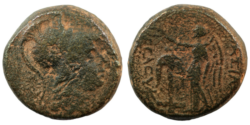 Seleukos II. Kallinikos (246-226 BC). Bronze Æ. (19mm, 8,60g) Antioch. Obv: head...