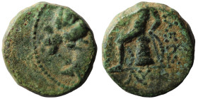 Seleukos III. Keraunos. (226-223 BC). Bronze Æ. (14mm 3,41g) Antioch.