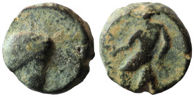 Seleukos III. Keraunos. (226-223 BC). Bronze Æ. (14mm 2,99g) Antioch.