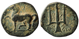 Caria. Mylasa. (210-30 BC) Bronze Æ. (12mm, 1,48g) Obv: horse standing left. Rev: trident.