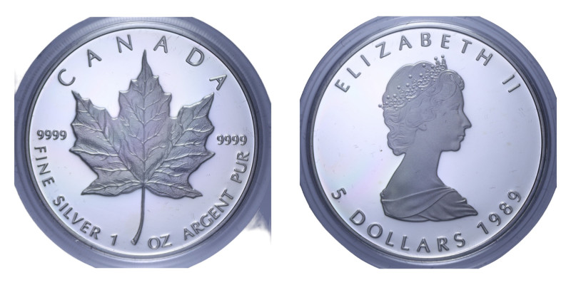 CANADA ELISABETTA II 5 DOLLARI 1989 1 OZ AG. 31,39 GR. IN COFANETTO PROOF