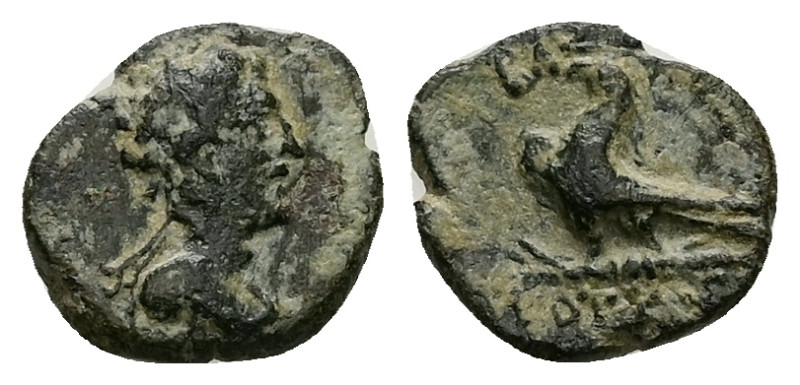 Kings of Thrace, Kotys II. Odessos or Bizye? AE, 1.12 g 12.55 mm. Circa 57-48 BC...