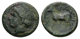 Thrace, Aigospotamoi. Ae, 3.27 g 15.54 mm. Late 4th century BC.