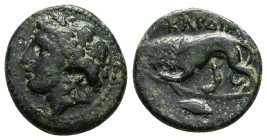 Thrace, Kardia. Ae, 7.41 g 20.47 mm. Circa 350-309 BC.
