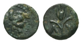 Thrace, Lysimacheia. Ae, 0.92 g 10.69 mm. Circa 309-220 BC.