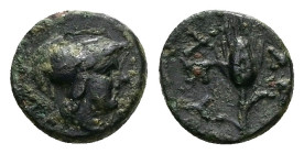 Thrace, Lysimacheia. Ae, 0.94 g 10.12 mm. Circa 309-220 BC.