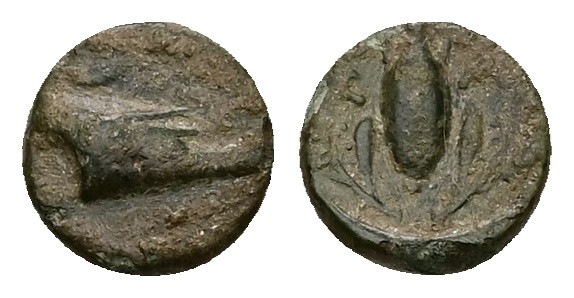 Ionia, Samos. Ae, 0.68 g 8.17 mm. Circa 412/1-406/5 BC.