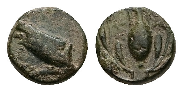 Ionia, Samos. Ae, 0.78 g 8.62 mm. Circa 412/1-406/5 BC.