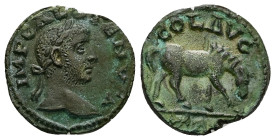 Troas, Alexandria Troas. Gallienus, AD 253-260. AE, As. 4.77 g. 20.79 mm.