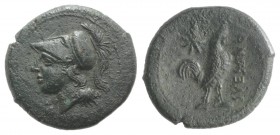 Northern Campania, Suessa Aurunca, c. 265-240 BC. Æ (20mm, 4.59g, 7h). Helmeted head of Minerva l. R/ Cock standing r.; star to upper l. Sambon 873; H...