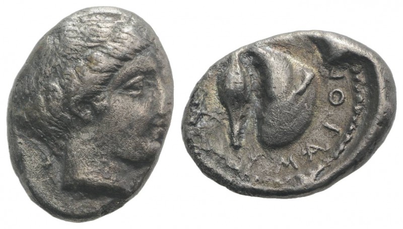 Campania, Cumae, c. 420-385 BC. AR Didrachm (20.5mm, 6.82g, 6h). Female head r. ...