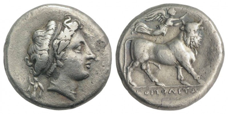 Southern Campania, Neapolis, c. 300-275 BC. AR Didrachm (20mm, 6.08g, 6h). Head ...
