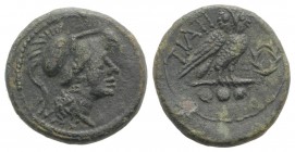 Northern Apulia, Teate, c. 225-200 BC. Æ Teruncius (21mm, 7.01g, 3h). Helmeted head of Athena r. R/ Owl standing r., head facing, on palm frond. HNIta...