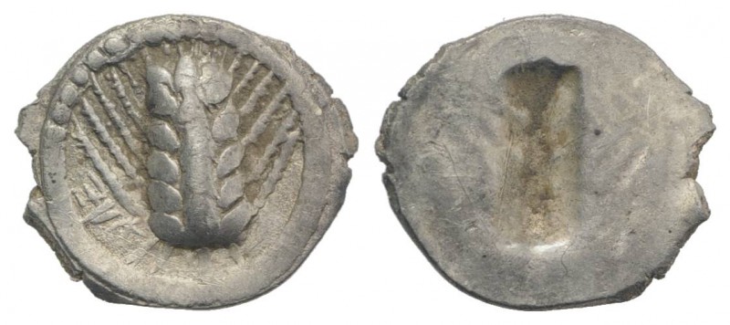 Southern Lucania, Metapontion, c. 540-510 BC. AR Obol (9mm, 0.31g, 12h). Barley-...