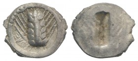 Southern Lucania, Metapontion, c. 540-510 BC. AR Obol (9mm, 0.31g, 12h). Barley-ear with five grains. R/ Incuse barley ear with four grains. Noe 66; H...