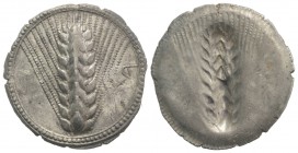 Southern Lucania, Metapontion, c. 540-510 BC. AR Stater (28mm, 8.20g, 12h). Barley ear. R/ Incuse barley ear. Noe 122; HNItaly 1467; SNG ANS 209-16. V...