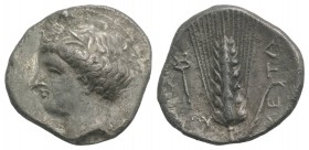 Southern Lucania, Metapontion, c. 340-330 BC. AR Stater (23mm, 7.15g, 6h). Wreathed head of Demeter l. R/ Barley ear with leaf to r.; to l., kerykeion...