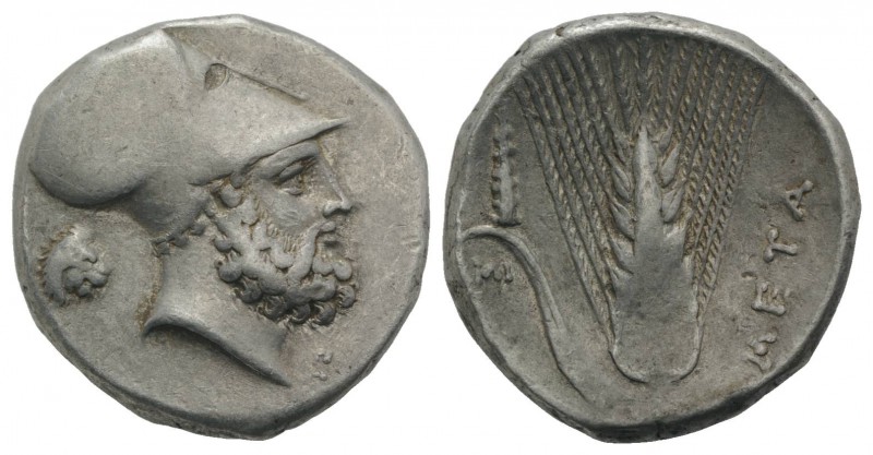 Southern Lucania, Metapontion, c. 340-330 BC. AR Stater (21mm, 7.91g, 6h). Helme...