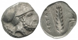 Southern Lucania, Metapontion, c. 340-330 BC. AR Stater (19mm, 7.57g, 9h). Ami-, magistrate. Helmeted head of Leukippos r.; to l., dog seated l. R/ Ba...