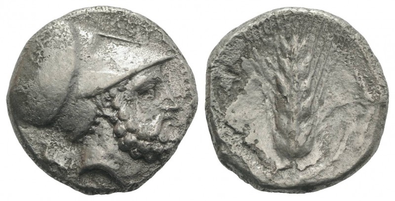 Southern Lucania, Metapontion, c. 340-330 BC. AR Stater (19mm, 7.57g, 9h). Ami-,...