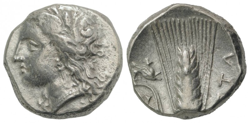 Southern Lucania, Metapontion, c. 330-290 BC. AR Stater (19mm, 7.58g, 6h). Wreat...