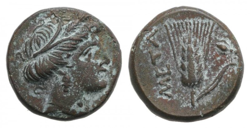 Southern Lucania, Metapontion, c. 300-250 BC. Æ (13mm, 2.51g, 9h). Wreathed head...