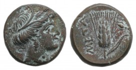 Southern Lucania, Metapontion, c. 300-250 BC. Æ (13mm, 2.51g, 9h). Wreathed head of Demeter r. R/ Grain ear with stem to r.; fly to r. Johnston Bronze...