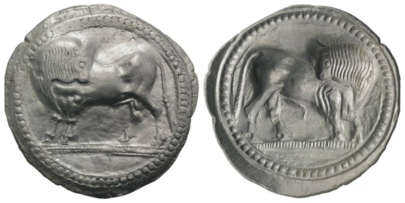Southern Lucania, Sybaris, c. 550-510 BC. AR Stater (32mm, 8.41g, 12h). Bull sta...